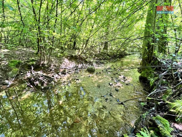 Prodej rybníku, Skalice u České Lípy, 3255 m2