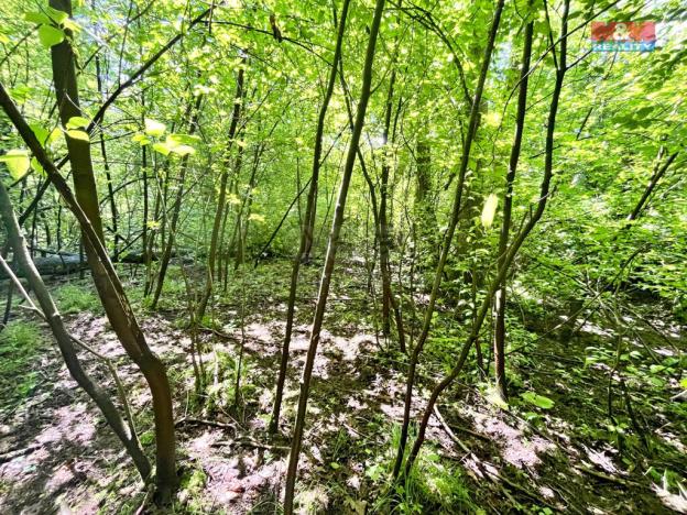 Prodej rybníku, Skalice u České Lípy, 3255 m2