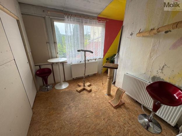 Prodej rodinného domu, Úštěk - Úštěk-České Předměstí, 1. máje, 193 m2