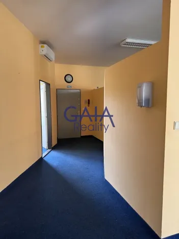 Pronájem kanceláře, Hodonín, Wilsonova, 180 m2