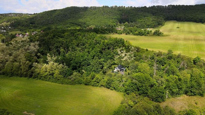 Prodej pozemku pro bydlení, Vráž, 1000 m2