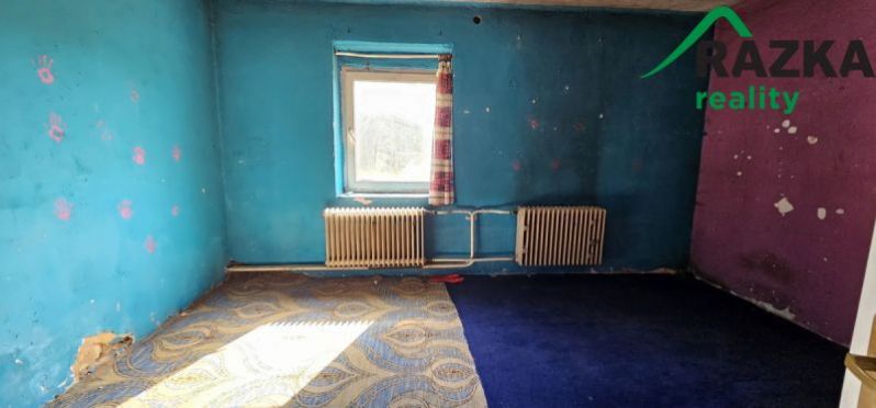 Prodej rodinného domu, Bor, Nový Dvůr, 192 m2