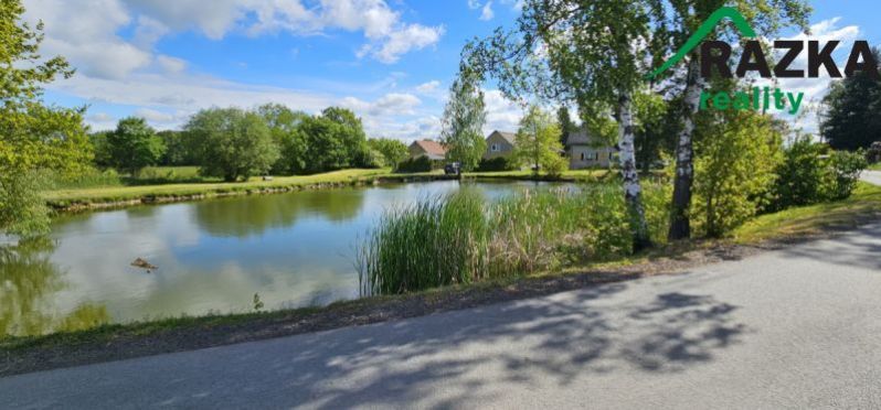 Prodej rodinného domu, Bor, Nový Dvůr, 192 m2