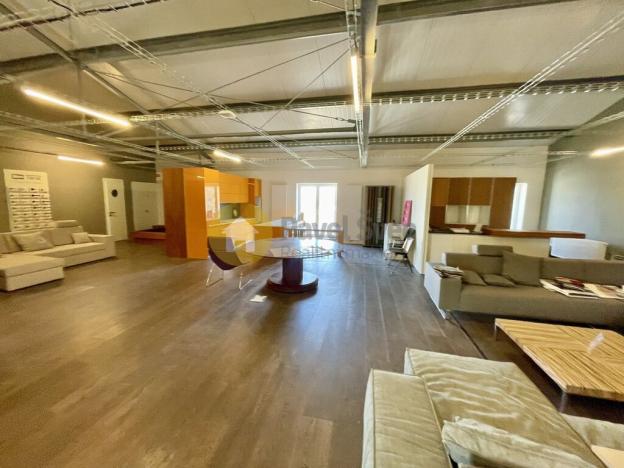 Prodej komerčního pozemku, Strakonice - Strakonice I, U Hajské, 12025 m2