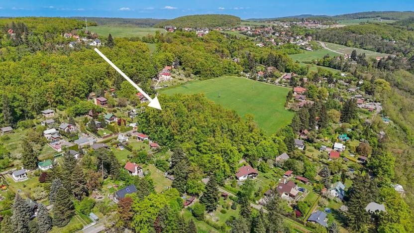 Prodej lesa, Petrov, 6490 m2