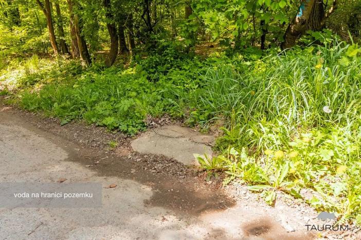 Prodej lesa, Petrov, 6490 m2