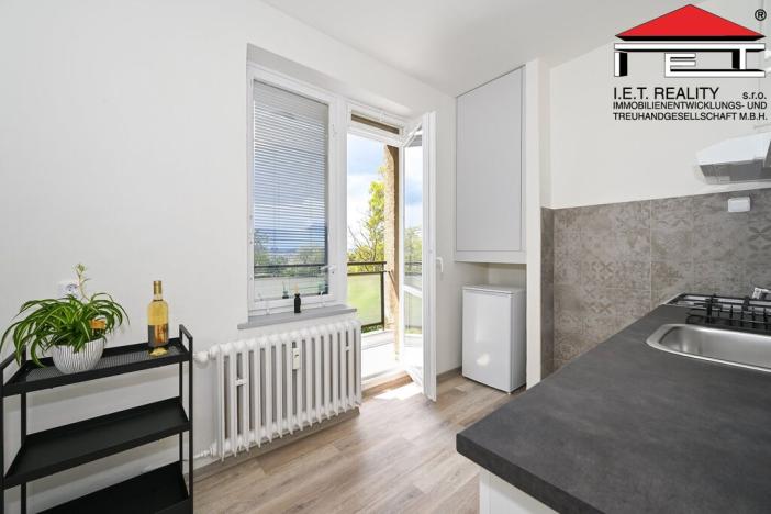 Prodej bytu 2+1, Brno, Došlíkova, 47 m2