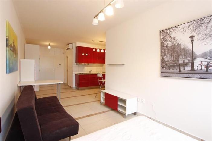 Pronájem bytu 1+kk, Brno, Rybnická, 31 m2