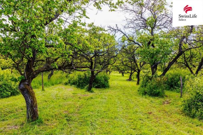 Prodej komerčního pozemku, Židlochovice, 3876 m2