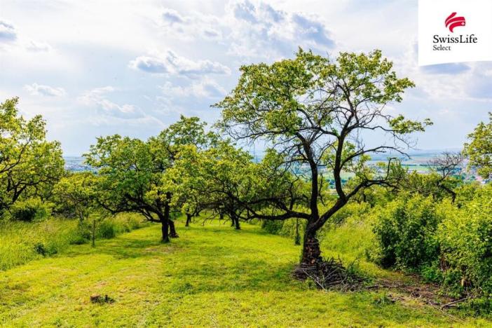 Prodej komerčního pozemku, Židlochovice, 3876 m2