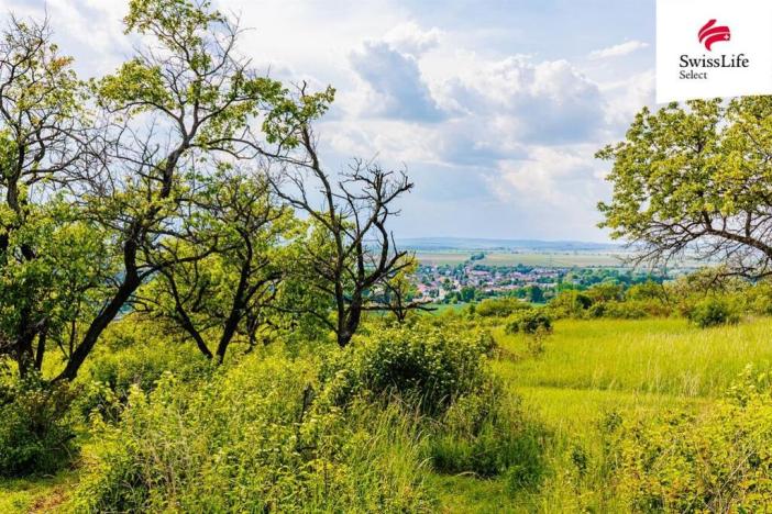 Prodej komerčního pozemku, Židlochovice, 3876 m2