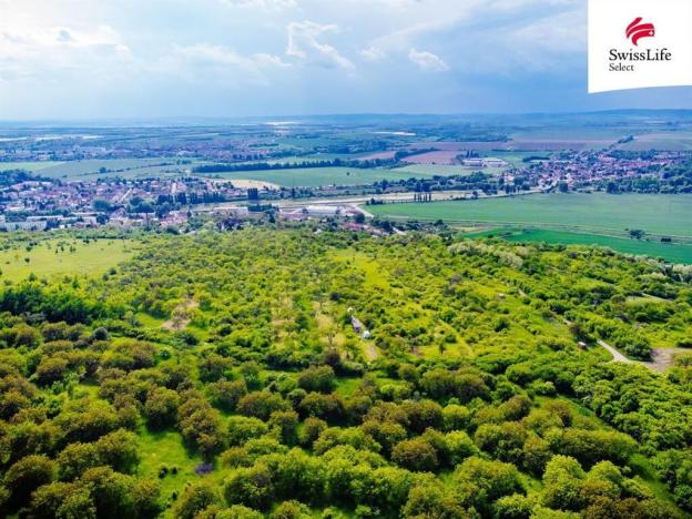 Prodej komerčního pozemku, Židlochovice, 3876 m2