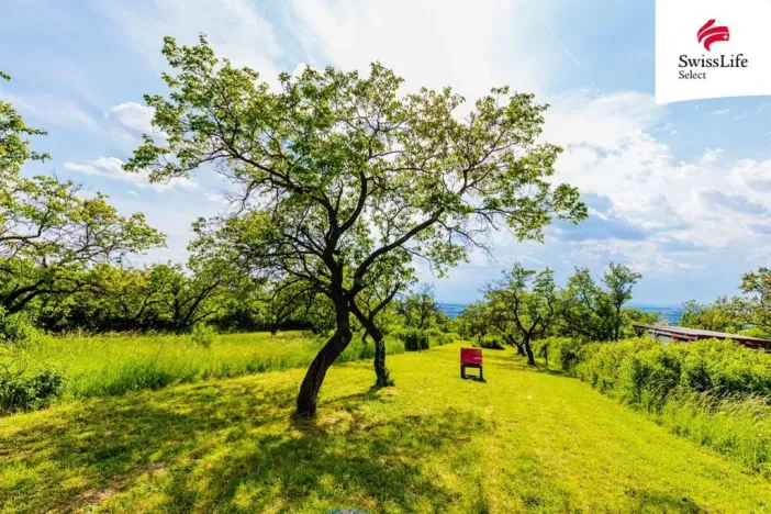 Prodej komerčního pozemku, Židlochovice, 3876 m2