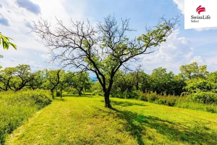 Prodej komerčního pozemku, Židlochovice, 3876 m2