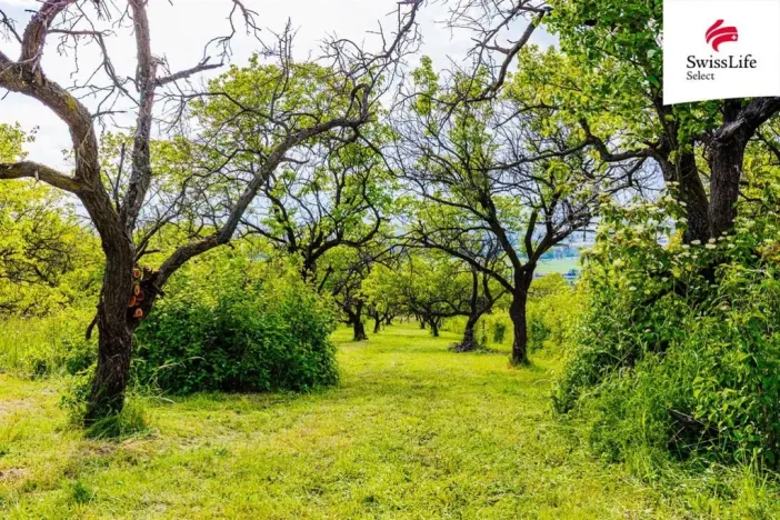 Prodej komerčního pozemku, Židlochovice, 3876 m2