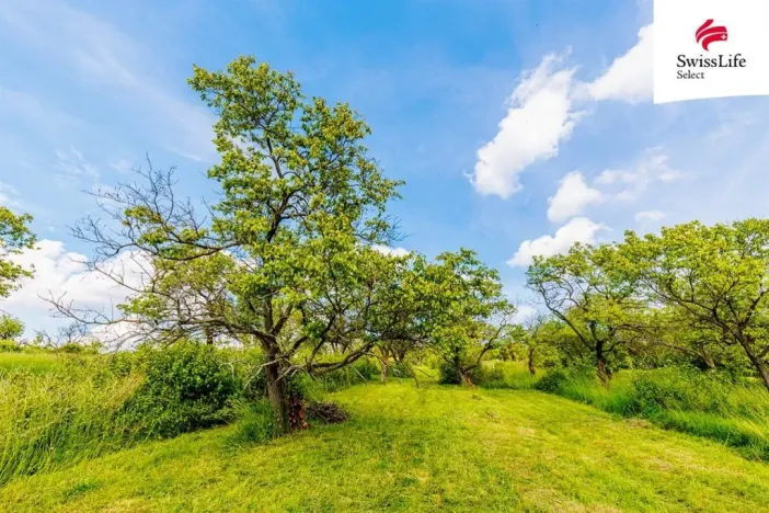 Prodej komerčního pozemku, Židlochovice, 3876 m2