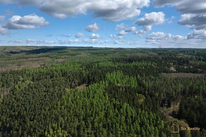 Prodej rodinného domu, Pavlíkov, 436 m2