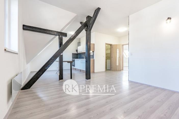 Prodej vícegeneračního domu, Ústí nad Labem - Krásné Březno, Drážďanská, 534 m2