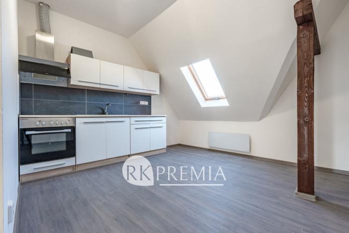 Prodej vícegeneračního domu, Ústí nad Labem - Krásné Březno, Drážďanská, 534 m2