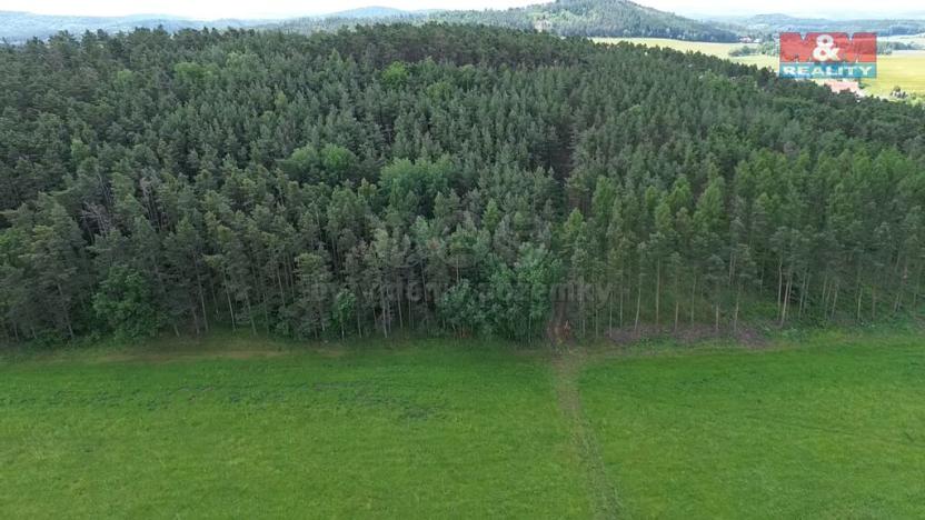 Prodej lesa, Chotilsko - Prostřední Lhota, 3372 m2