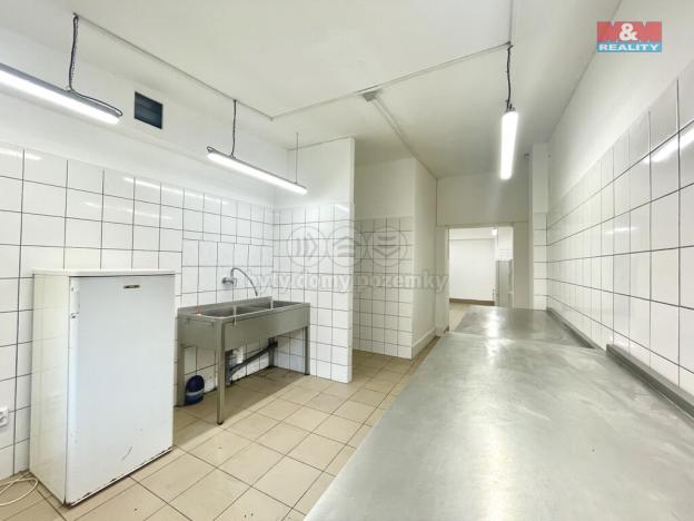 Pronájem výrobních prostor, Teplice, Duchcovská, 75 m2
