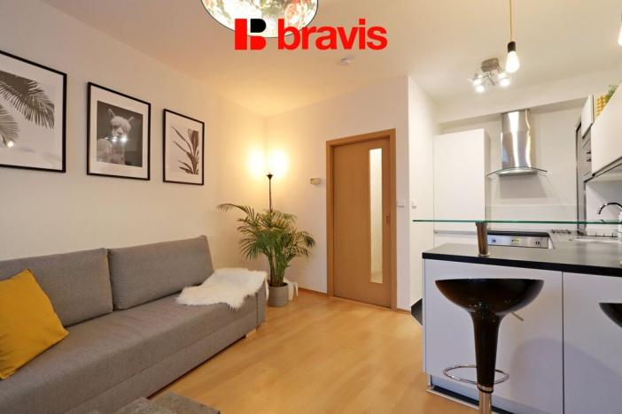 Pronájem bytu 2+kk, Brno - Trnitá, Spálená, 50 m2