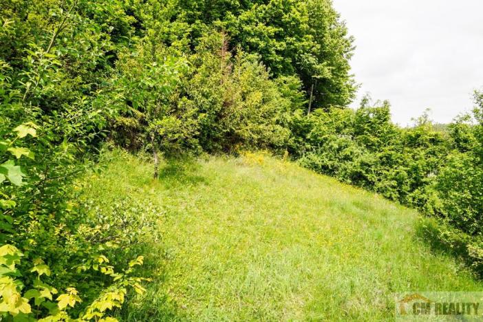 Prodej chaty, Stražisko - Maleny, 35 m2