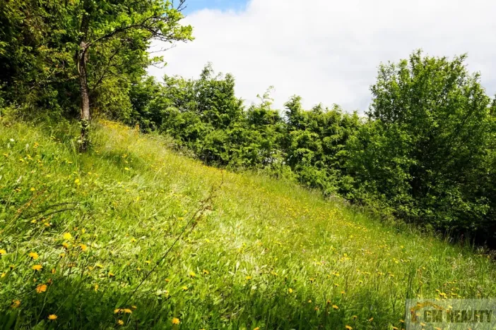 Prodej chaty, Stražisko - Maleny, 36 m2