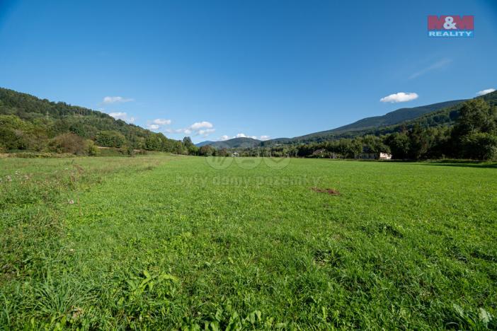 Prodej pole, Spělkov, 25164 m2