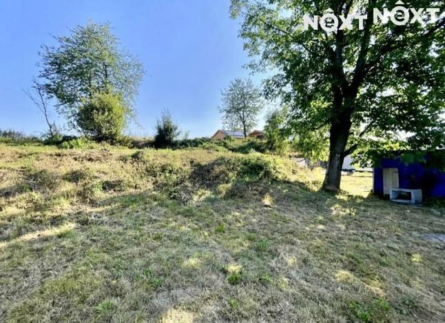 Prodej pozemku pro bydlení, Svobodné Heřmanice, Sokolovská, 1030 m2