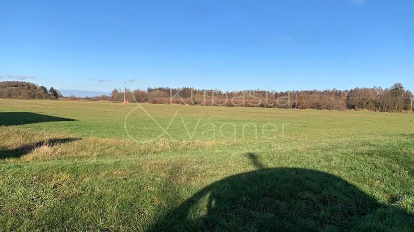 Prodej pozemku pro bydlení, Heřmanův Městec, 7832 m2