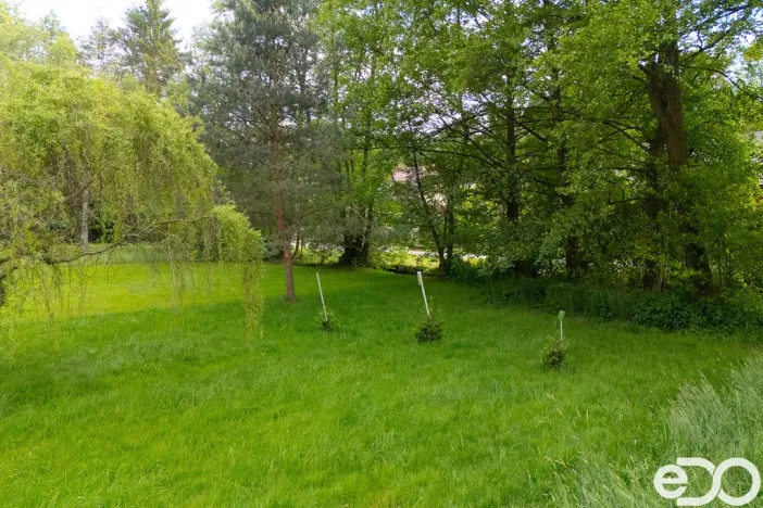 Prodej zahrady, Horní Bukovina, 267 m2