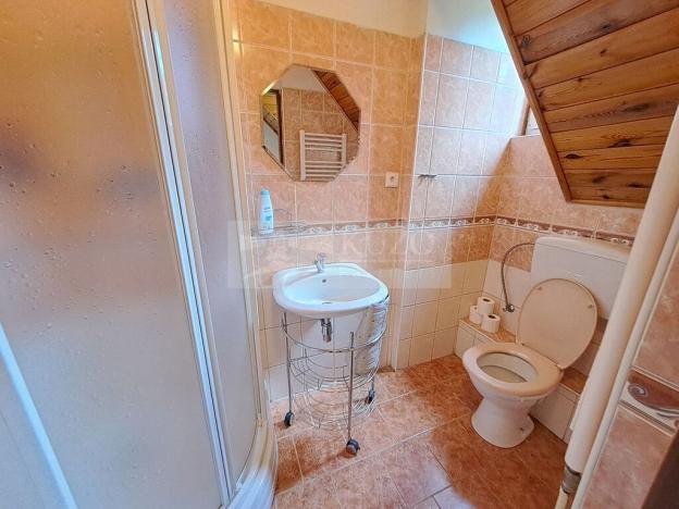 Prodej ubytování, Zbytiny - Blažejovice, 453 m2