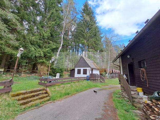 Prodej ubytování, Zbytiny - Blažejovice, 453 m2