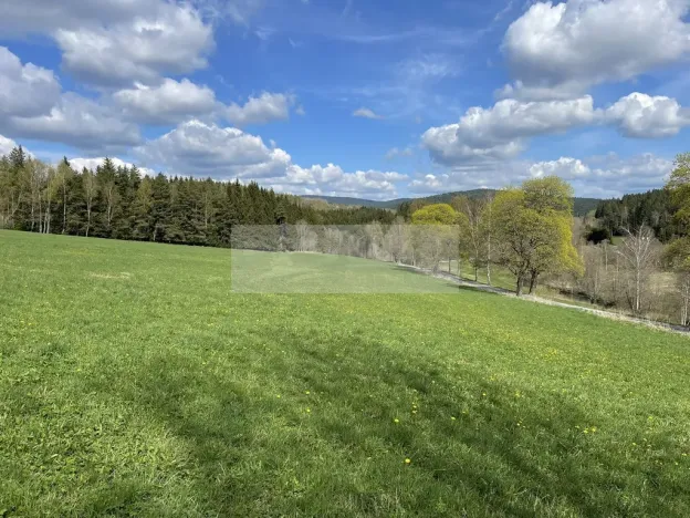 Prodej ubytování, Zbytiny - Blažejovice, 453 m2