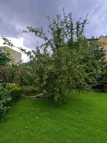 Pronájem bytu 2+1, Olomouc - Nové Sady, Rooseveltova, 72 m2