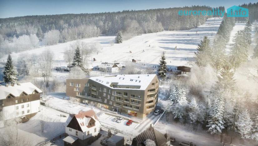 Prodej bytu 3+kk, Železná Ruda, 100 m2