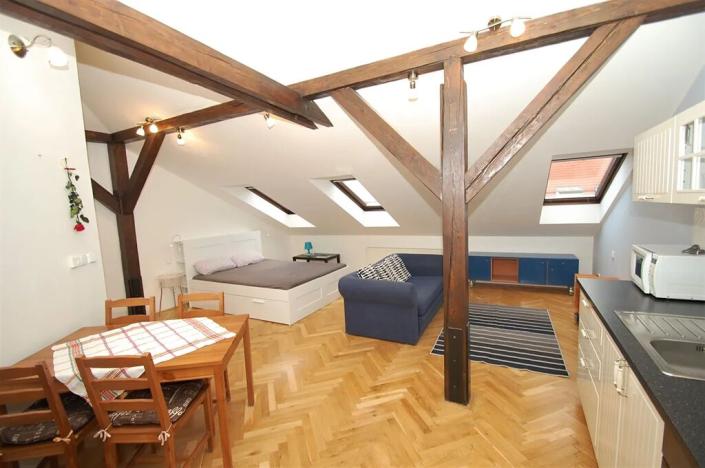 Pronájem bytu 1+kk, Praha - Vinohrady, Sázavská, 50 m2