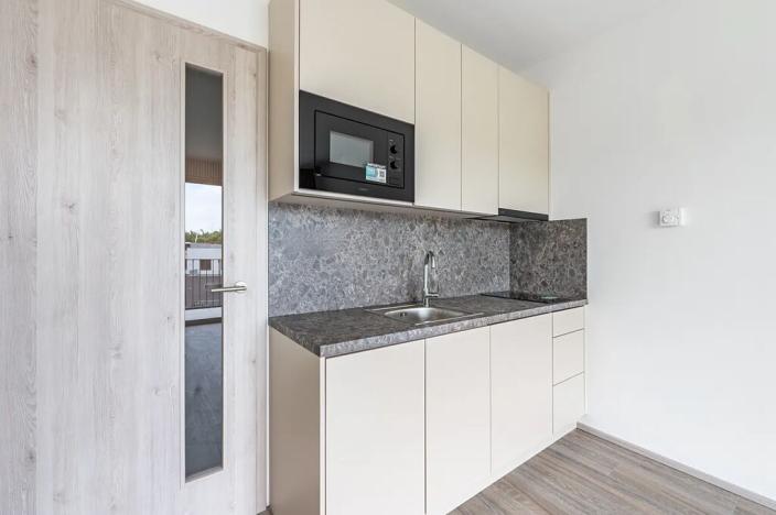 Pronájem bytu 1+kk, Praha, Na Zlíchově, 26 m2