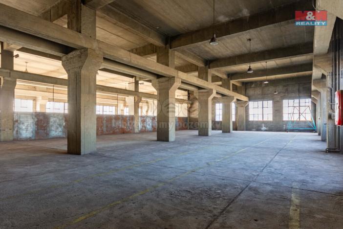 Pronájem výrobních prostor, Ostrava, 12000 m2