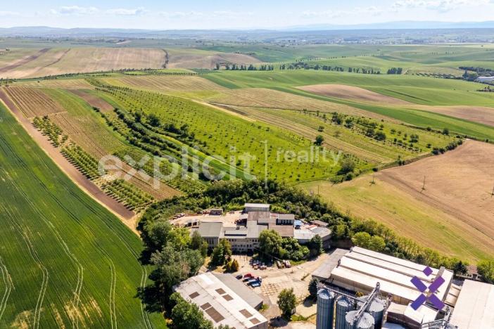 Prodej výrobních prostor, Šardice, 1837 m2