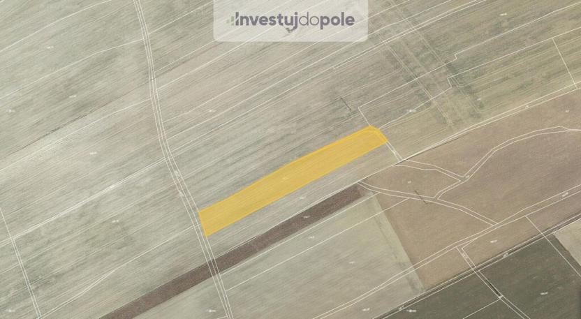 Prodej pole, Hřebečníky - Novosedly, 4549 m2