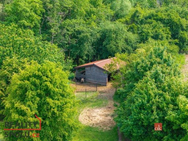 Prodej rodinného domu, Litíč - Nouzov, 620 m2