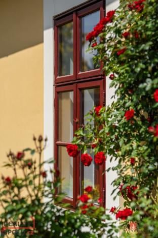 Prodej rodinného domu, Litíč - Nouzov, 620 m2