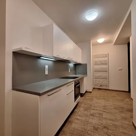 Pronájem bytu 2+1, Praha - Bubeneč, U zeměpisného ústavu, 47 m2