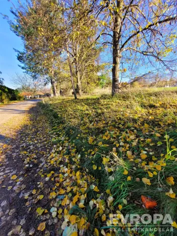 Prodej pozemku pro bydlení, Okrouhlo, 900 m2