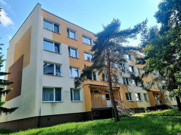 Pronájem bytu 1+1, Bílina, Aléská, 30 m2