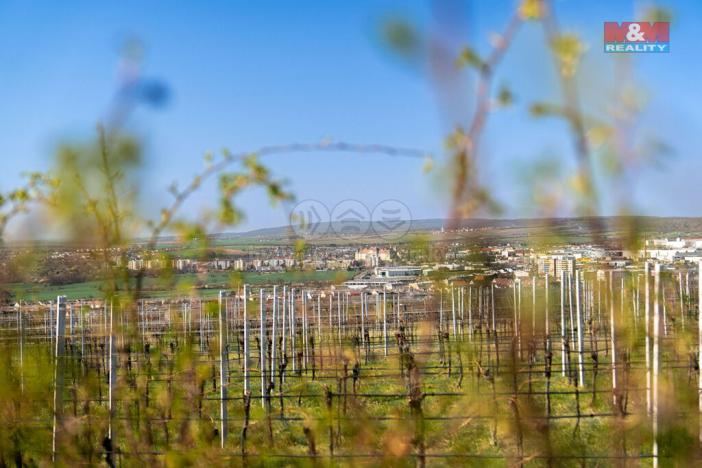 Prodej pozemku pro bydlení, Dobšice, 2462 m2