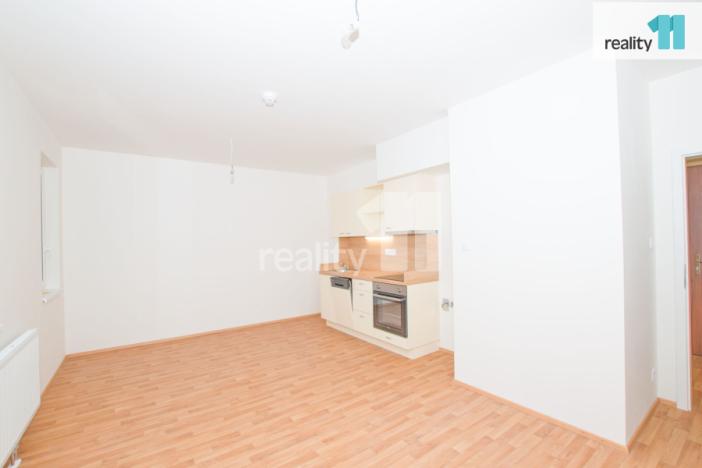 Pronájem bytu 1+kk, Liberec - Liberec III-Jeřáb, U Nisy, 33 m2