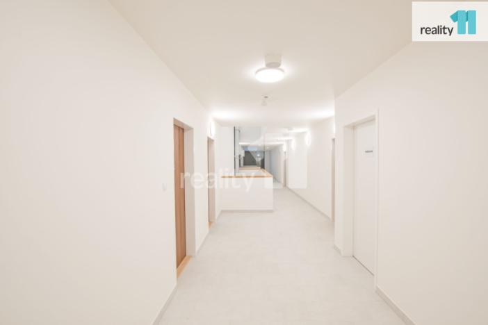 Pronájem bytu 1+kk, Liberec - Liberec III-Jeřáb, U Nisy, 33 m2